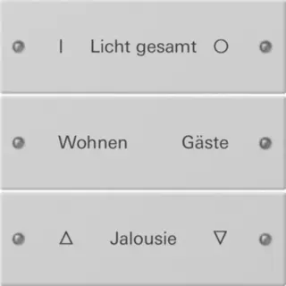 Gira Wippenset dreifach beschreibbar lackiert (grau, Retail)