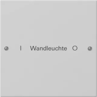 Gira Wippenset einfach (grau, Retail)