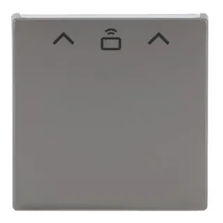Busch-Jaeger Zentrale Schalter Cardschalter Radiofrequenz-Identifikation, Abdeckung (edelstahl, Retail)
