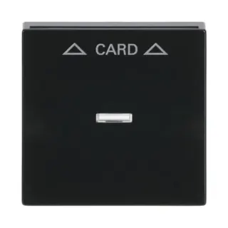 0 Zentralscheibe für Cardschalter mit Symbolik und Kalotte, Abdeckung (anthrazit, Retail)