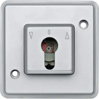 Merten Rastschalter Einsatz silber für Schließzylinder (silber, Retail)