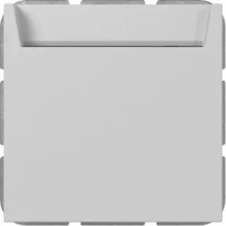 Gira Hotel-Card Schließer mit Neutralleiterklemme Schalter einpolig, Taster (grau, Retail)