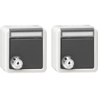 Gira Set 2 Schutzkontakt Steckdosen mit Klappdeckel und Schloss (grau, Retail)