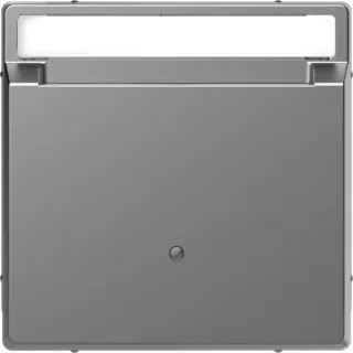 Merten Card-Schalter eds System Design (edelstahl, Retail)