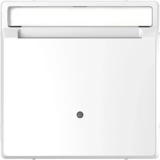 Merten Card-Schalter beleuchtbar mit Zentralplatte glänzend aus Thermoplast (weiß, Retail)