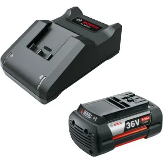 Bosch Heimwerken & Garten Starter-Set 36V (GBA 36V 6.0Ah + AL 36V-20) (schwarz, 36V POWER FOR ALL, Akku + Ladegerät)
