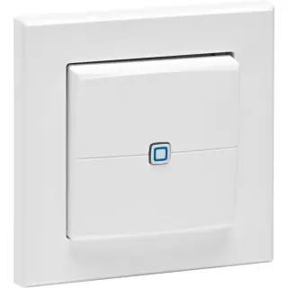 Homematic IP Wandtaster 2-fach (HmIP-WRC2-2), Schalter (weiß)