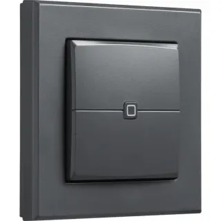 Homematic IP Wandtaster – 2-fach (HmIP-WRC2-A-2), Schalter (anthrazit)