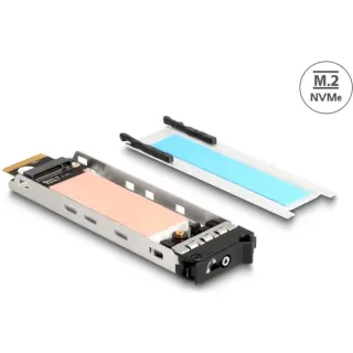 DeLOCK Wechselrahmen Einschub 1 x M.2 NMVe SSD für 47028