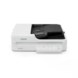Epson WorkForce DS-1760WN, Flachbettscanner (hellgrau/dunkelgrau, USB)
