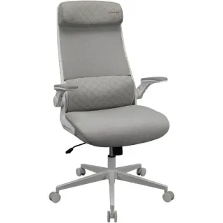 Cougar Gaming/Office-Stuhl Stryder, Gaming-Stuhl (weiß)