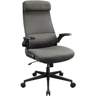 Cougar Gaming/Office-Stuhl Stryder, Gaming-Stuhl (grau/schwarz)