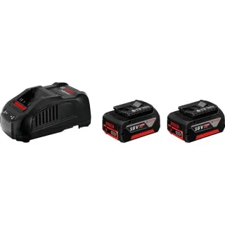 Bosch Professional PRO Starter-Set 18V (2x GBA 18V 5.0Ah + GAL 1880 CV Professional), Ladegerät (schwarz, 2x Akku + Ladegerät, AMPShare Alliance)