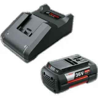 Bosch Heimwerken & Garten Starter-Set 36V (GBA 36V 4.0Ah + AL 36V-20) (schwarz, 36V POWER FOR ALL, Akku + Ladegerät)