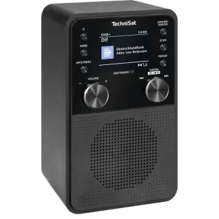 TechniSat DIGITRADIO 317 (schwarz, Retail)