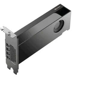 PNY NVIDIA RTX PRO 2000 Blackwell Generation 16GB SB, Grafikkarte (Bulk)