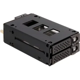 DeLOCK Slim Bay Wechselrahmen für 2 x 2.5″ U.2 NVMe SSD, Laufwerksgehäuse