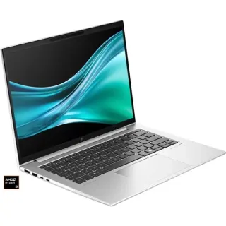 HP EliteBook 845 G11 (A26QJEA), Notebook (silber, AMD Ryzen 5 8540U, AMD Radeon 740M, 16 GB DDR5, 512 GB (512 GB SSD), Windows 11 Pro)