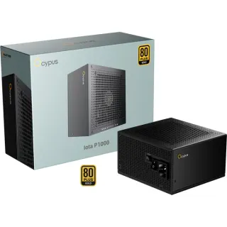Ocypus Iota P1000 Black, PC-Netzteil (schwarz, 1x 12-Pin High Power GPU, 3x PCIe, Kabelmanagement, 1000 Watt)