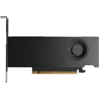 NVIDIA RTX PRO 2000 Blackwell (LP), Grafikkarte (4x Mini-DisplayPort, Retail)