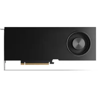 NVIDIA RTX PRO 5000 Blackwell 72GB, Grafikkarte (4x DisplayPort, Retail)