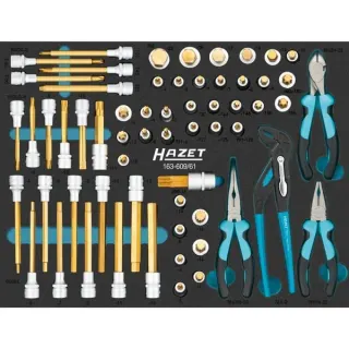 Hazet Schraubendreher-Steckschlüsseleinsatz-Satz 163-609/61, Größe 3/3+, Werkzeug-Set (61-teilig)