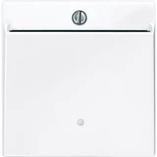 Merten Card-Schalter beleuchtbar, Taster-Einsatz für Card-Schalter, Typ 315625 (weiß (glänzend), Retail)