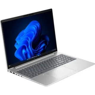 HP EliteBook X G2a (DL9Z6ET), Notebook (silber, AMD Ryzen AI 7 PRO 450, AMD Radeon 860M, 32 GB LPDDR5X, 1 TB (1 TB SSD), Windows 11 Pro)