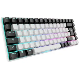 Sharkoon SKILLER SGK50 S3, Gaming-Tastatur (weiß, DE-Layout, Gateron Red)