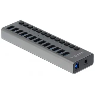DeLOCK Externer SuperSpeed USB Hub mit 13 Ports + Schalter, USB-Hub
