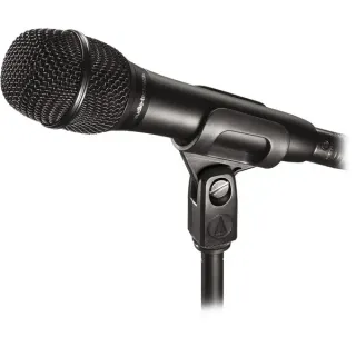 Audio-Technica AT2010, Mikrofon (schwarz)