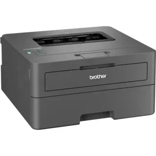 Brother HL-L2400DW, Laserdrucker (dunkelgrau, USB, WLAN, Duplex (Druck))