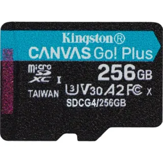 Kingston Canvas Go! Plus 256 GB microSDXC, Speicherkarte (schwarz, UHS-I U3, Class 10, V30, A2)