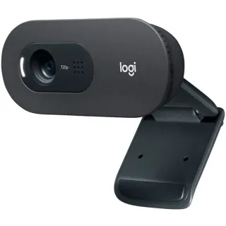 Logitech C505, Webcam (schwarz)