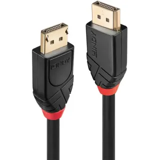 Lindy Aktives DisplayPort 1.2 Kabel (schwarz, 10 Meter)