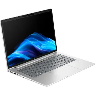 HP ProBook 4 G1a (AD2M9ET), Notebook (silber, AMD Ryzen 7 250, AMD Radeon 780M, 32 GB DDR5, 1 TB (1 TB SSD), Windows 11 Pro)