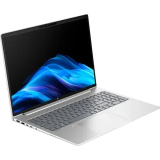 HP ProBook 4 G1i (AD2N3ET), Notebook (silber, Intel® Core™ Ultra 5 225U, Intel® Arc™ 140T, 16 GB DDR5, 512 GB (512 GB SSD), Windows 11 Pro)