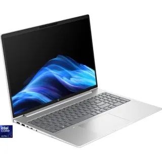HP ProBook 4 G1i (AD2P1ET), Notebook (silber, Intel® Core™ Ultra 7 255U, Intel® Arc™ 140T, 32 GB DDR5, 1 TB (1 TB SSD), Windows 11 Pro)