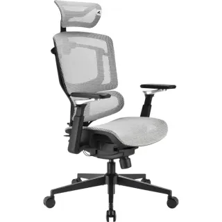 Sharkoon Bürostuhl OfficePal C50M (grau)