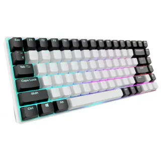 Sharkoon SKILLER SGK50 S3, Gaming-Tastatur (weiß, RU-Layout, Gateron Yellow)