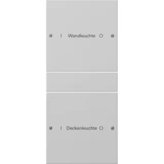 Gira Wippenset zweifach beschreibbar lackiert, Schalter (grau, Retail)