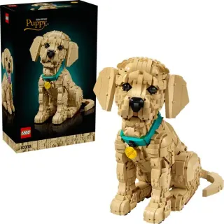 LEGO 11384 Icons Golden Retriever Welpe, Konstruktionsspielzeug
