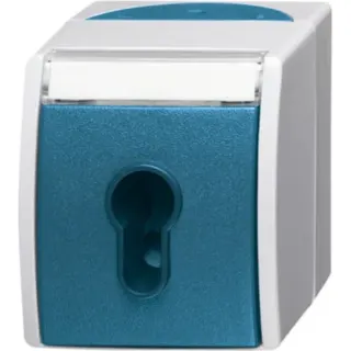 Busch-Jaeger Schlüsselschalter Aufputz mit Schlüssel, 1-polig, 10 Ampere, IP44, Typ 2733 SLW-53 (Retail)