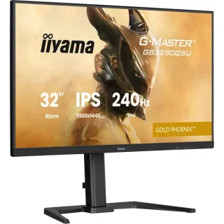 iiyama G-Master GB3290QSU-B1 Gold-Phoenix, Gaming-Monitor (80 cm (31.5 Zoll), schwarz (matt), QHD, IPS, Free-Sync-Premium, 240Hz Panel)