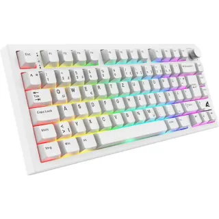 Sharkoon SKILLER SGK55W, Gaming-Tastatur (weiß, DE-Layout, Sharkoon Linear)