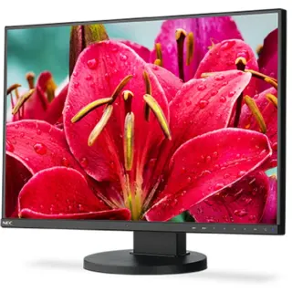 NEC MultiSync EA245WMI-BK (ohne Standfuß) Generalüberholt, LED-Monitor (61 cm (24 Zoll), schwarz, WUXGA, AH-IPS, USB-Hub, Daisy-Chain)