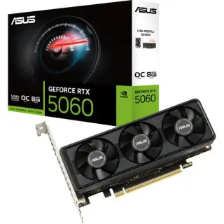 ASUS GeForce RTX 5060 LP BRK OC 8 GB, Grafikkarte (DLSS 5, 1x DisplayPort, 2x HDMI 2.1)